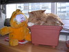 Garfield & Garfield