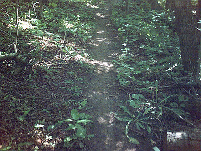 A-TYPICAL WI SINGLE TRACK