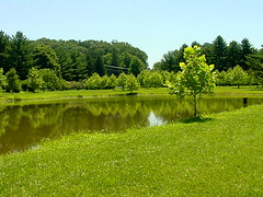 Beaver Run Pond, Maryland