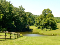 Farm Pond