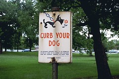 Curb Your Dog Sign -- Chicago