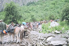 10 Ponies from Ghangria to Hemkund