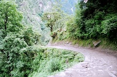 24 trek down to govindghat