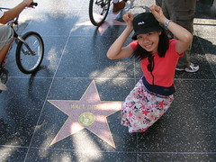 Hollywood Sidewalk Stars - Walt Disney