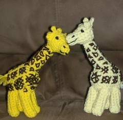 giraffes in love (1)
