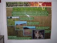 grassbioenergy