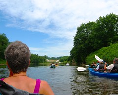 A Group of Kayaks