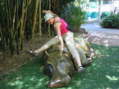 Demonstrating how to properly ride a Hippo at the San Diego Zoo
