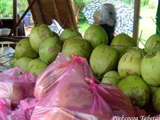 Brunei - Kianggeh Tamu - Coconuts