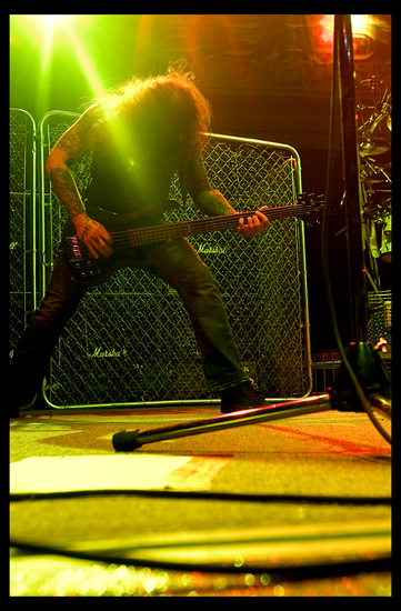 Megadeth Bass Player