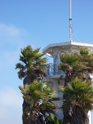 Palm Trees Blowing with Lighthouse