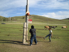 Basket goal at grassland.