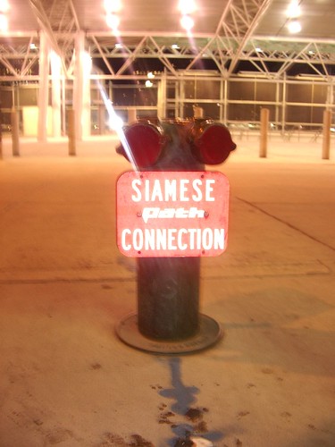 siamese path connection