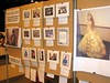 One side of the Fan Gallery exhibition, with a lot of photos of fen