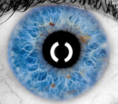 Pale Blue Eye Detail