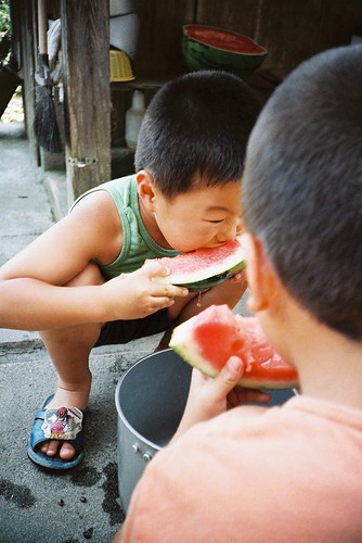 Watermelon on summer